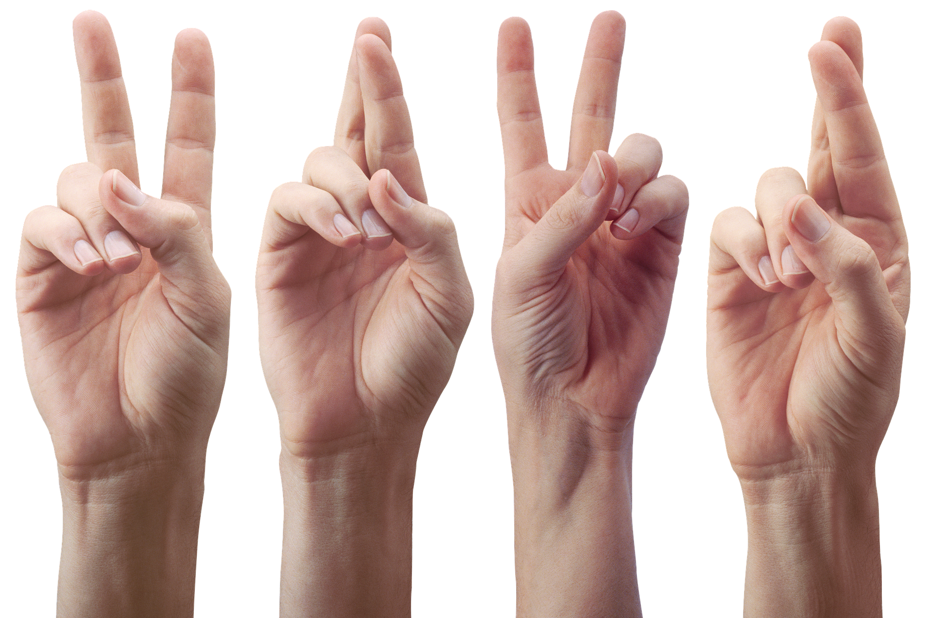 alles-hands-4451867_1920