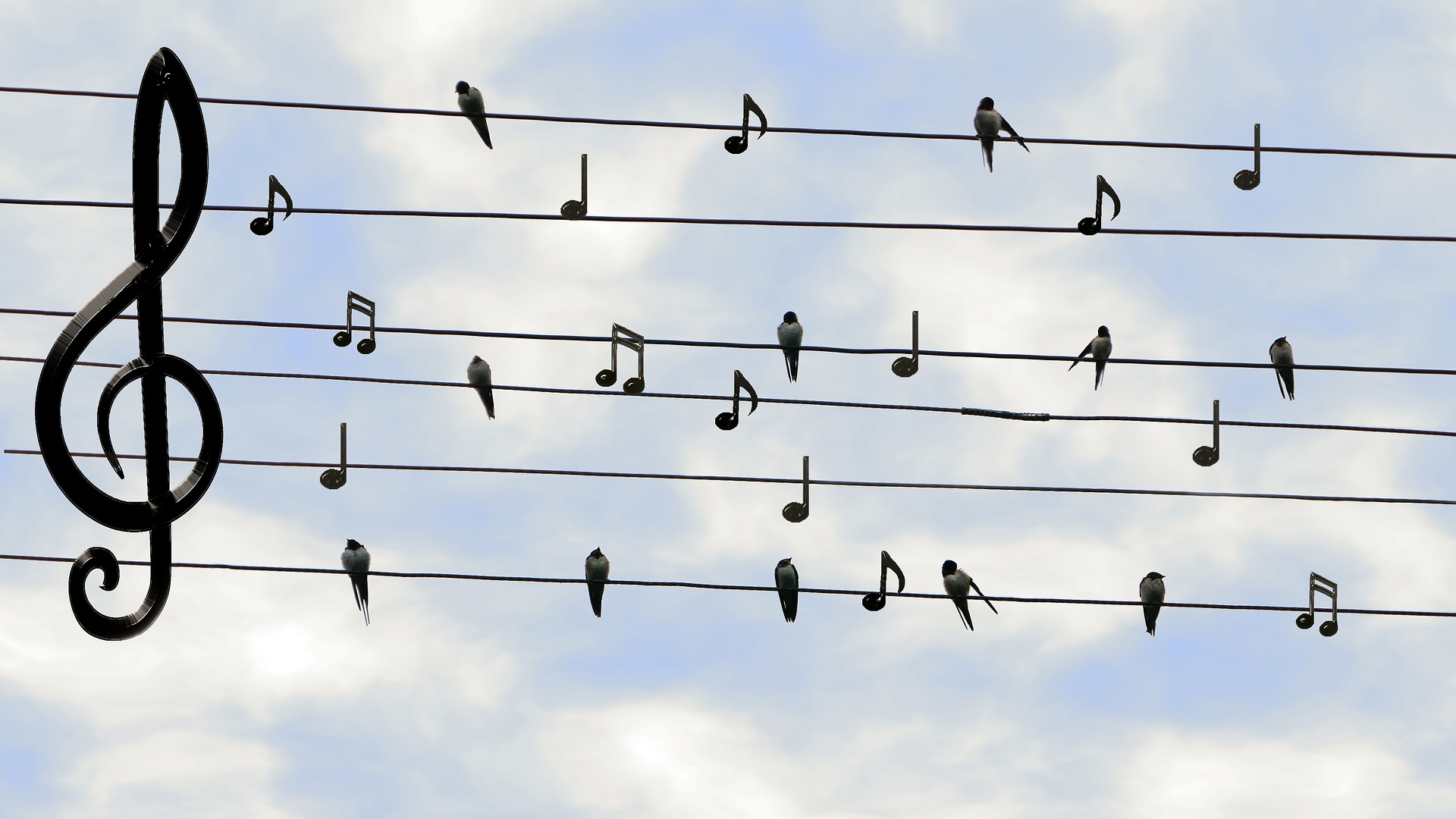 birds-2672101_1920.jpg